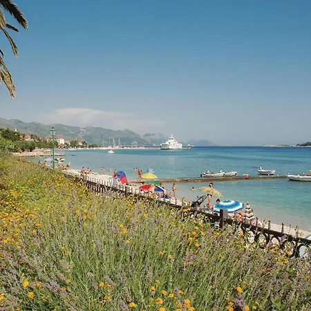 In With House Sea View